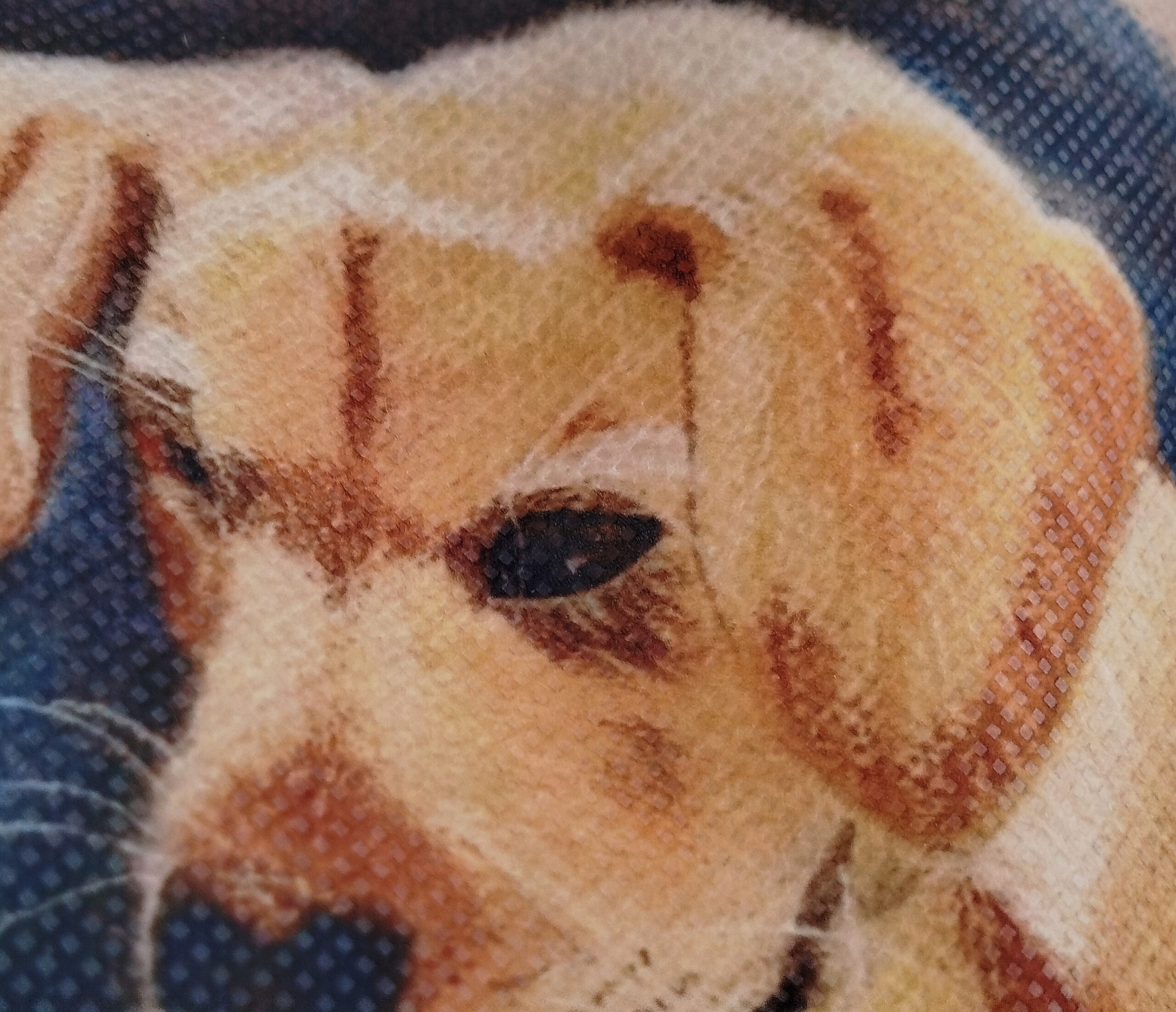 Dulce amistad - Imagen 3